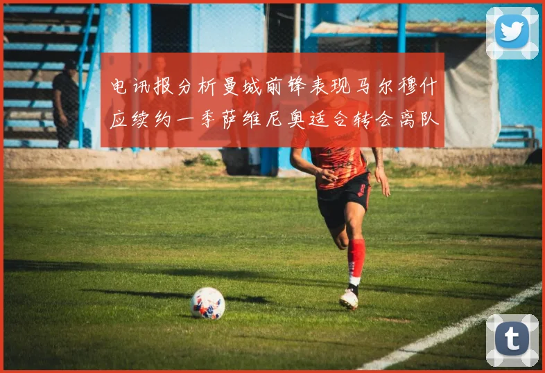 电讯报分析曼城前锋表现马尔穆什应续约一季萨维尼奥适合转会离队