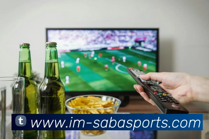 登录器